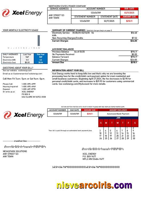 USA Xcel Energy business utility bill